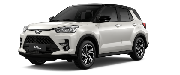 Trắng ngọc trai nóc đen (XJ5)